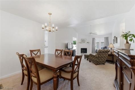 1172 Wild Brook Drive Akron OH 44313