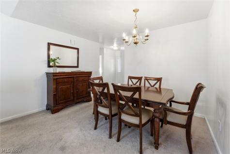 1172 Wild Brook Drive Akron OH 44313