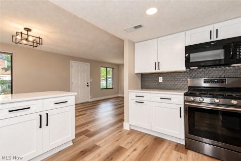 1651 Mentor Avenue Painesville OH 44077