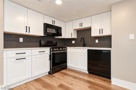 1651 Mentor Avenue Painesville OH 44077