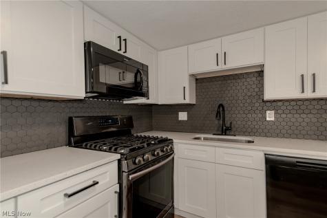 1651 Mentor Avenue Painesville OH 44077