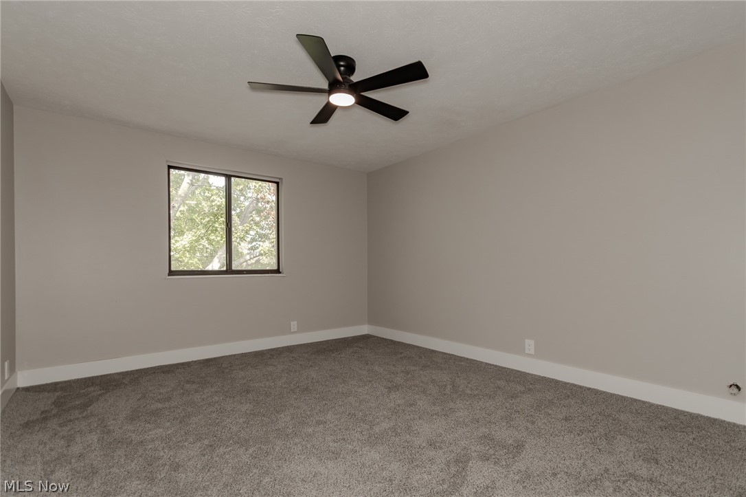 1651 Mentor Avenue Painesville OH 44077