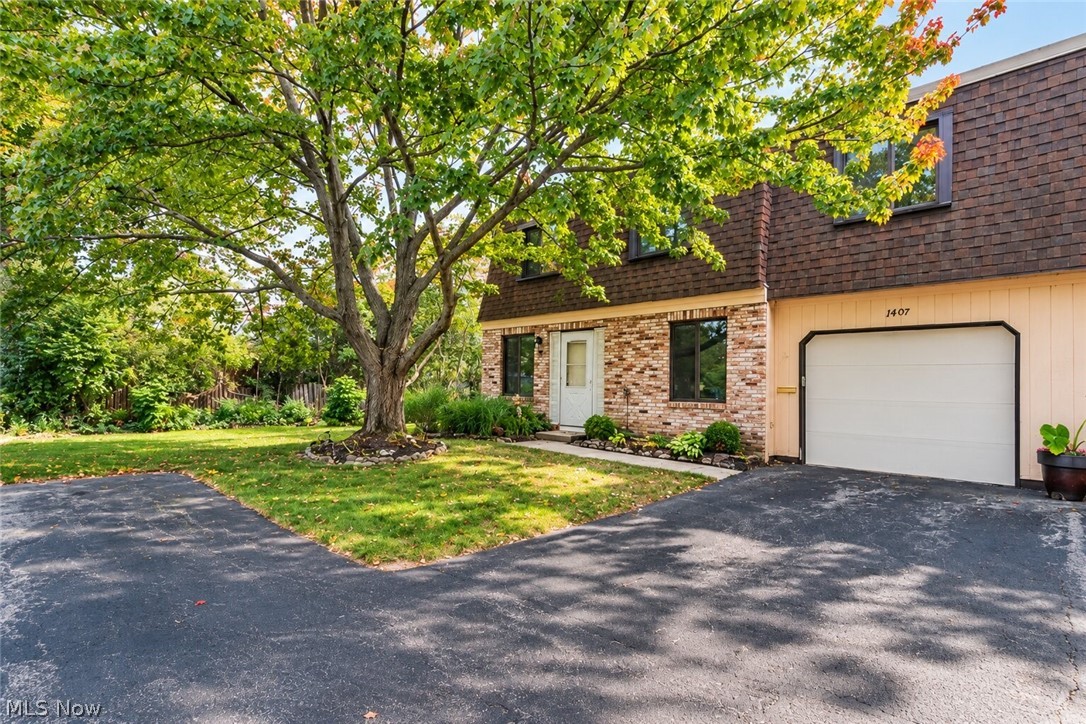 1651 Mentor Avenue Painesville OH 44077
