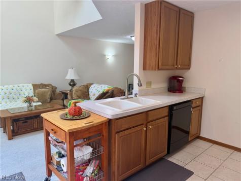 1021 Parsons Road Grafton OH 44044