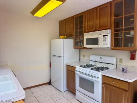 1021 Parsons Road Grafton OH 44044