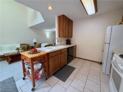 1021 Parsons Road Grafton OH 44044
