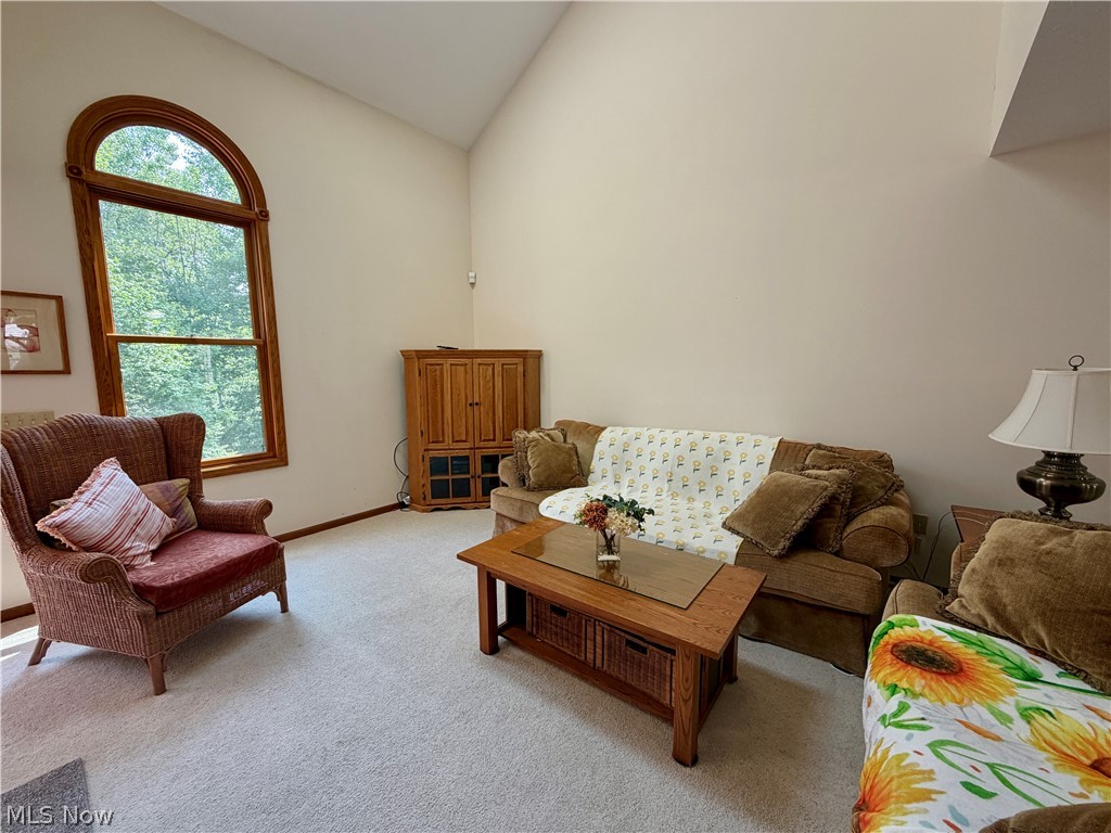 1021 Parsons Road Grafton OH 44044
