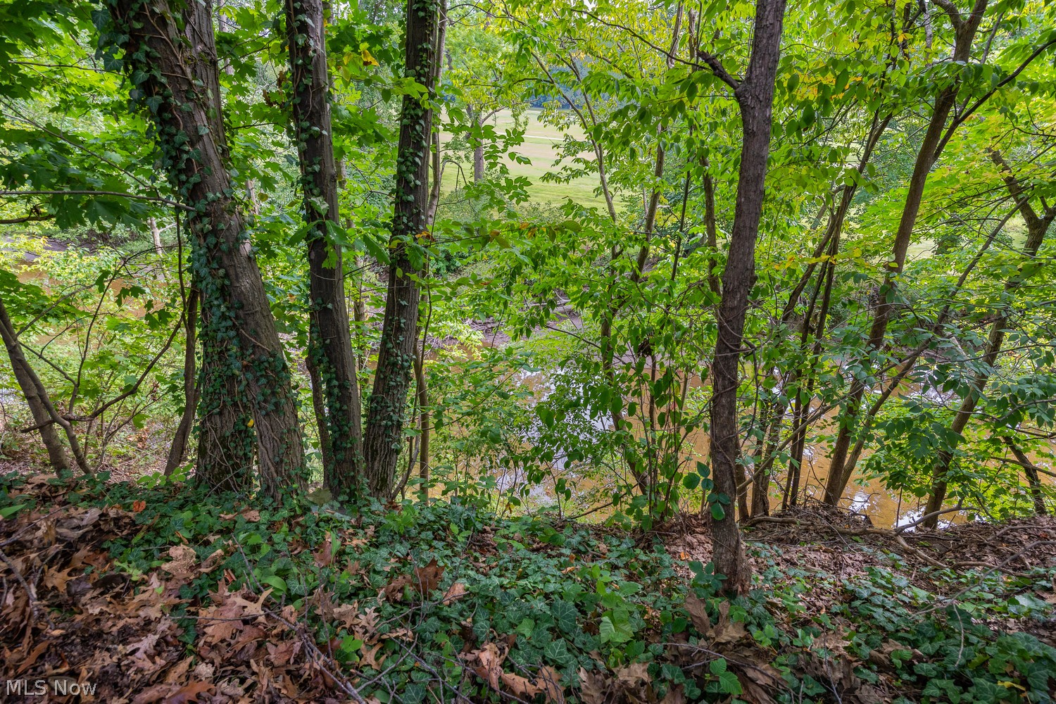 4723 Greenbriar Lane Lorain OH 44053