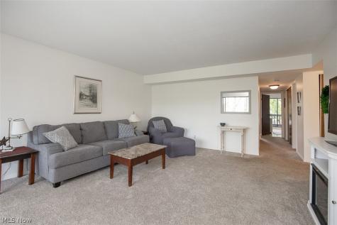 1105 Canyon View Road Sagamore Hills OH 44067