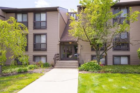 1105 Canyon View Road Sagamore Hills OH 44067