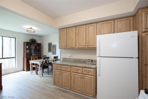 1105 Canyon View Road Sagamore Hills OH 44067