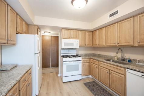 1105 Canyon View Road Sagamore Hills OH 44067