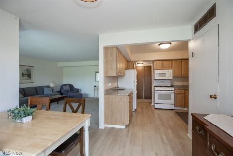 1105 Canyon View Road Sagamore Hills OH 44067