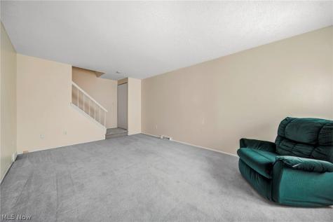5428 Haven Court Willoughby OH 44094