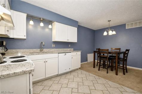 7310 Scottsdale Circle Mentor OH 44060