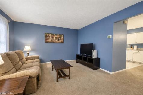 7310 Scottsdale Circle Mentor OH 44060