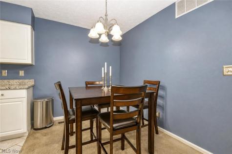 7310 Scottsdale Circle Mentor OH 44060