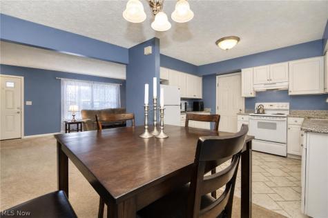 7310 Scottsdale Circle Mentor OH 44060