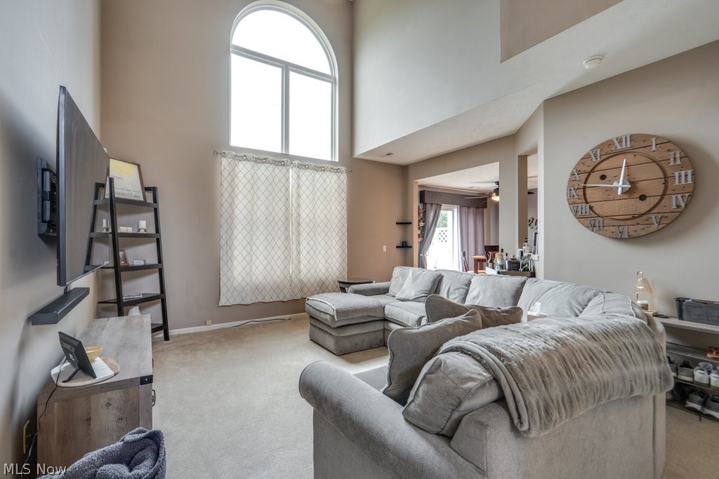 306 Bucknell Court Broadview Heights OH 44147