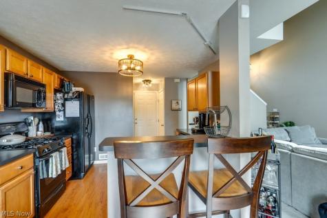 306 Bucknell Court Broadview Heights OH 44147