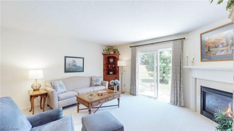 709 Gold Leaf Court Streetsboro OH 44241