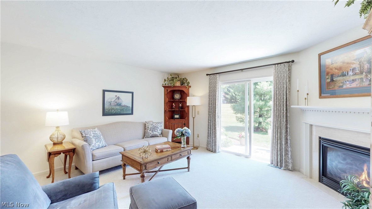 709 Gold Leaf Court Streetsboro OH 44241