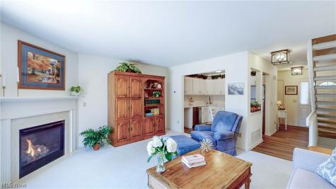709 Gold Leaf Court Streetsboro OH 44241