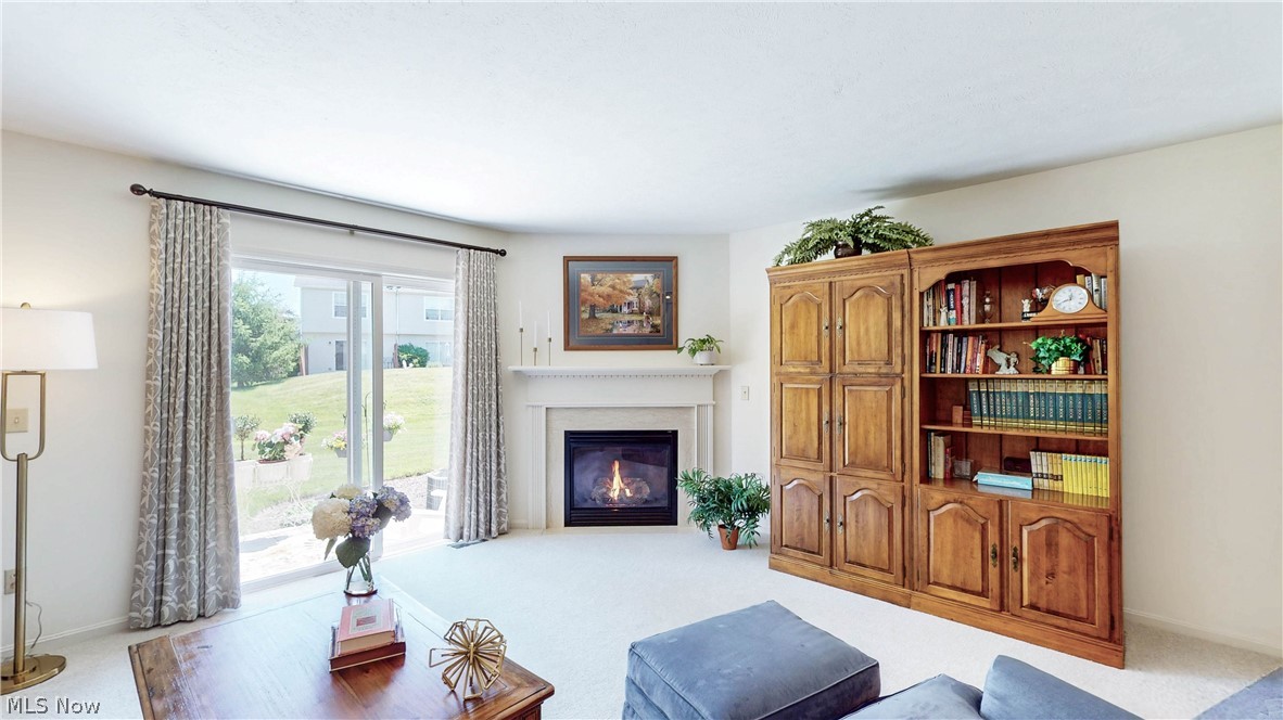 709 Gold Leaf Court Streetsboro OH 44241