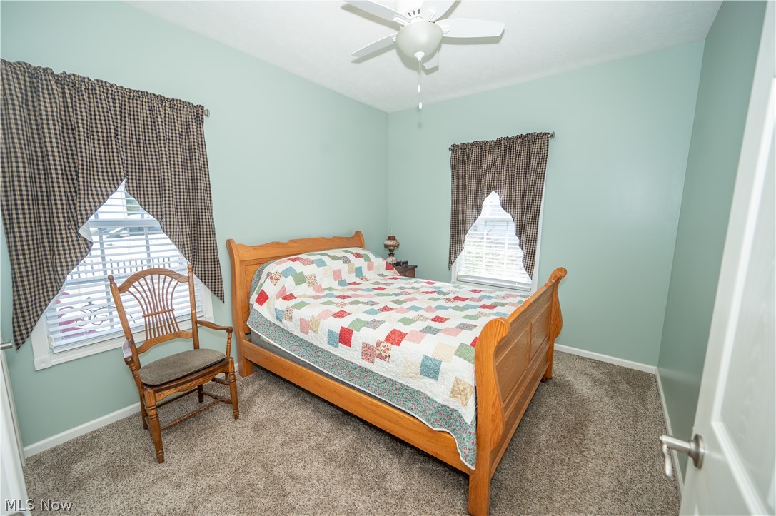 3235 Elizabeth Drive Perry OH 44081