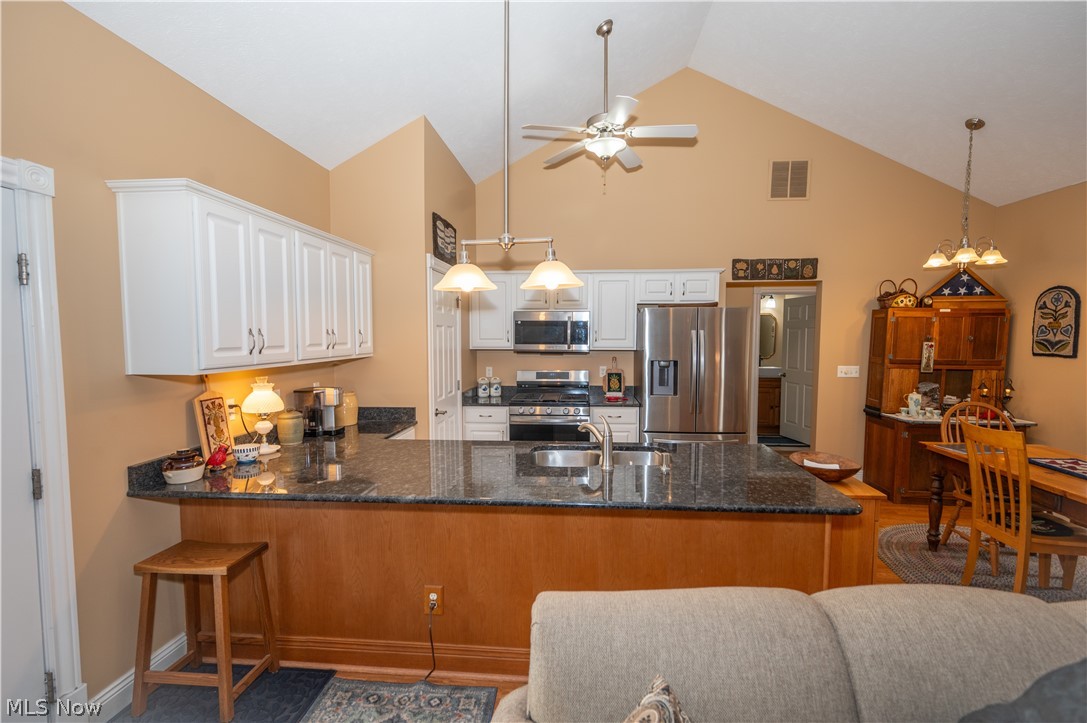 3235 Elizabeth Drive Perry OH 44081