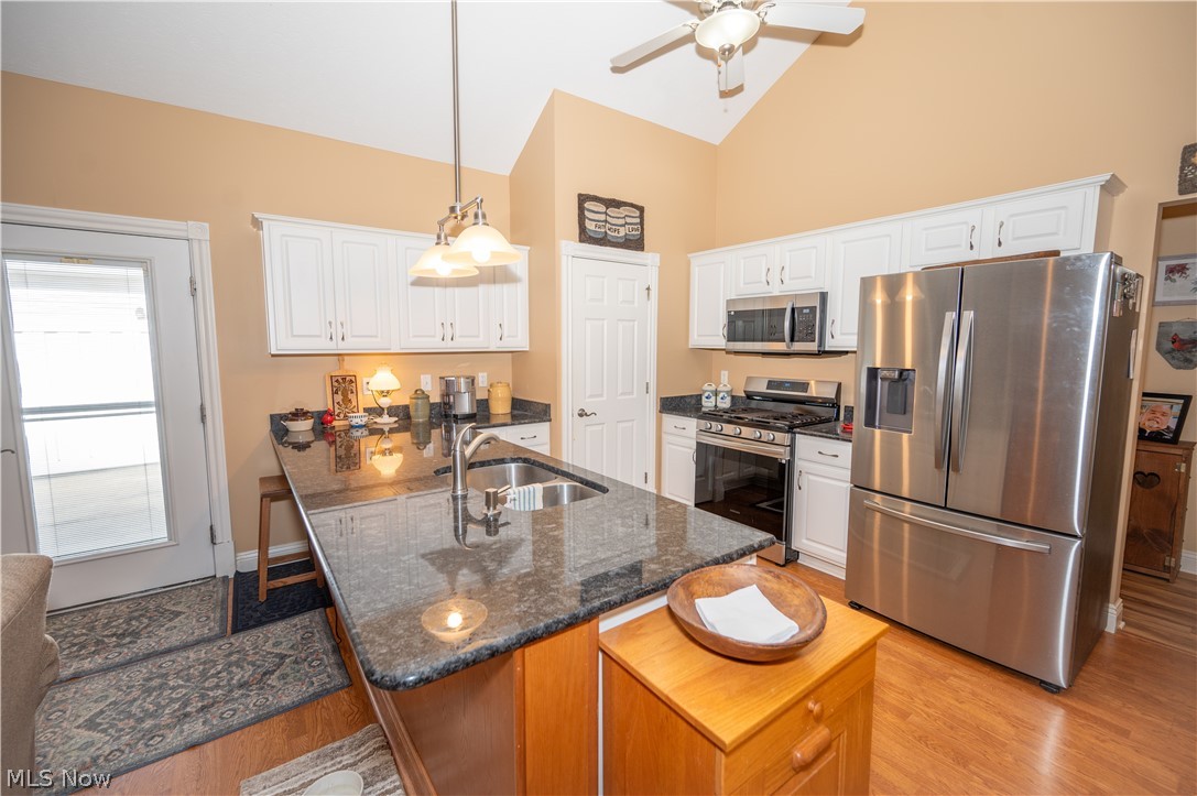 3235 Elizabeth Drive Perry OH 44081