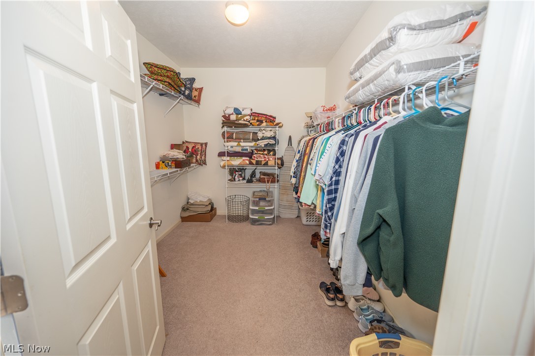 3235 Elizabeth Drive Perry OH 44081