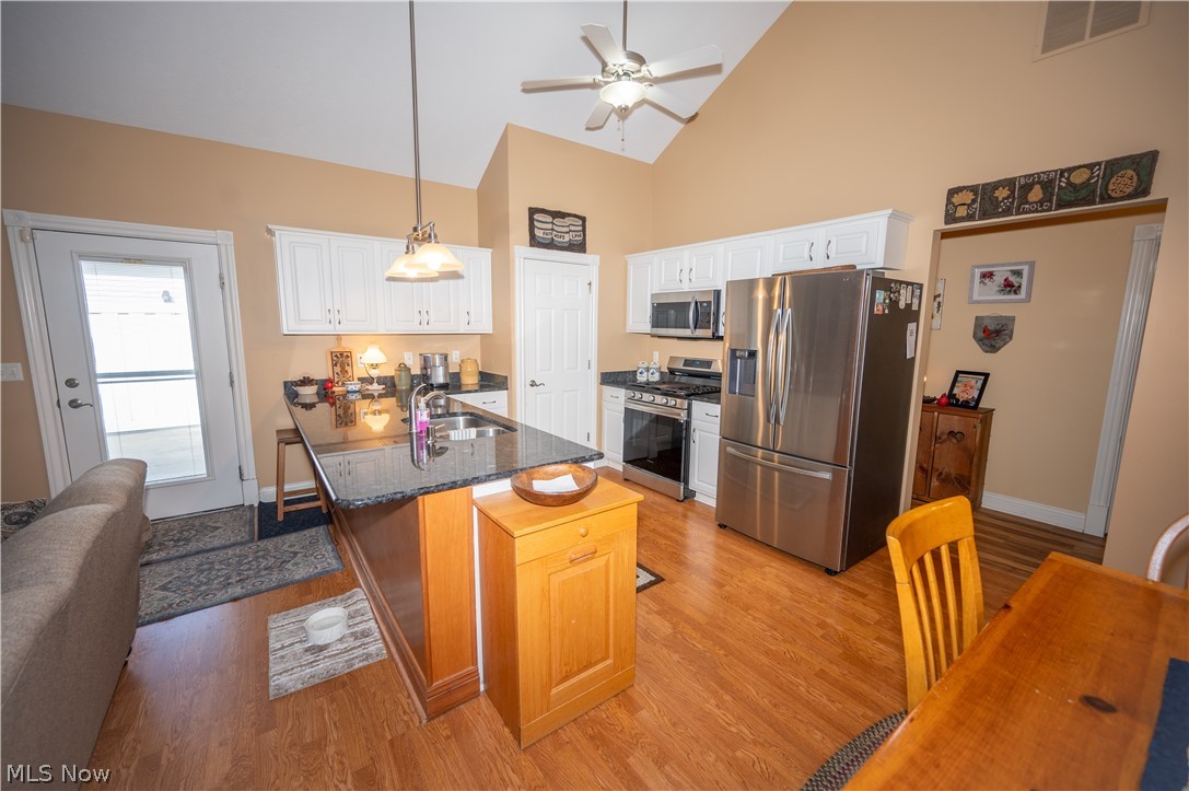 3235 Elizabeth Drive Perry OH 44081