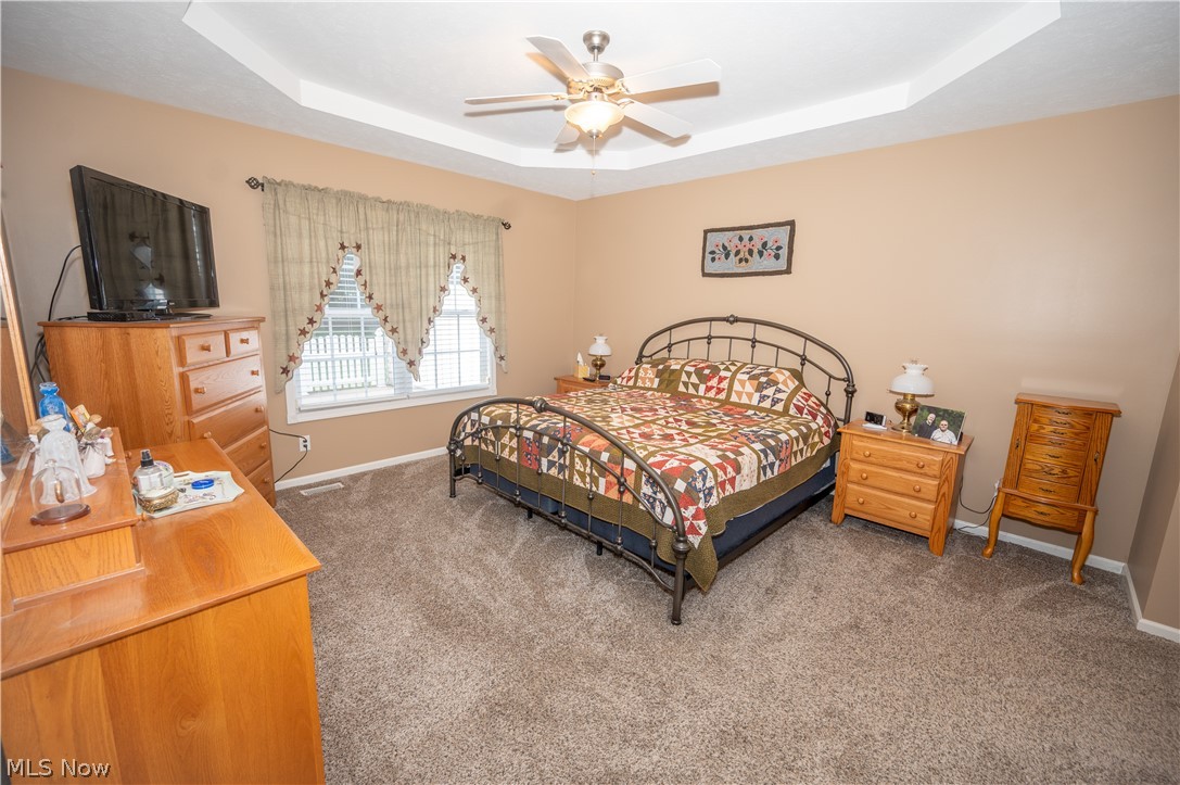 3235 Elizabeth Drive Perry OH 44081