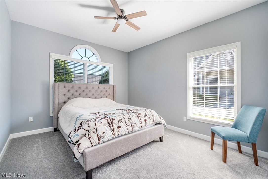 4300 Westford Place Canfield OH 44406