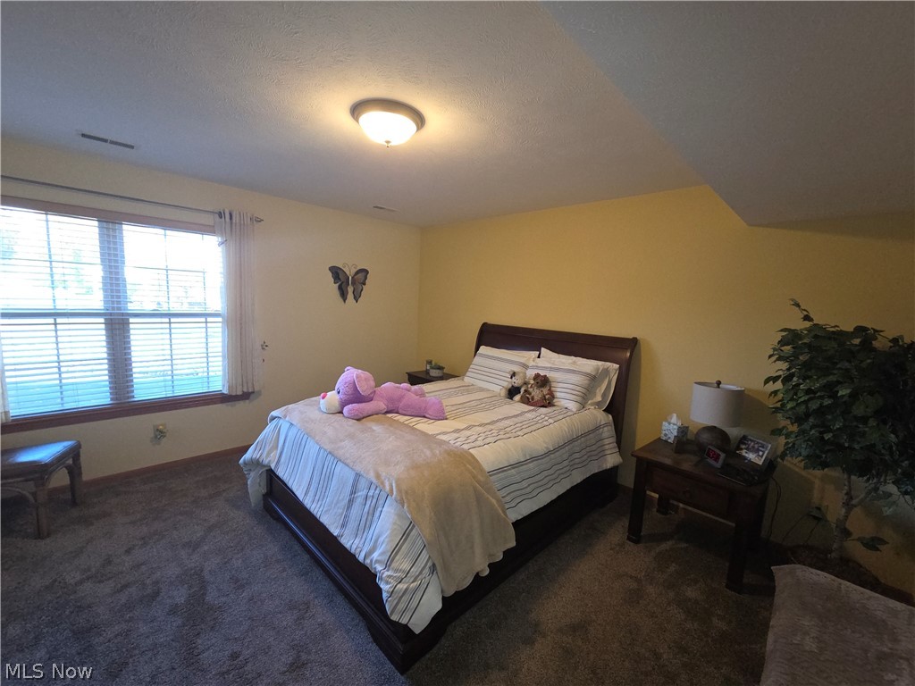 725 Coralberry Lane Madison OH 44057