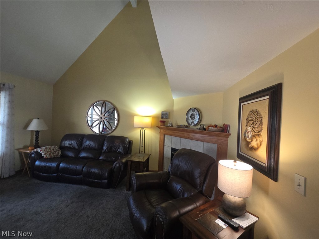 725 Coralberry Lane Madison OH 44057