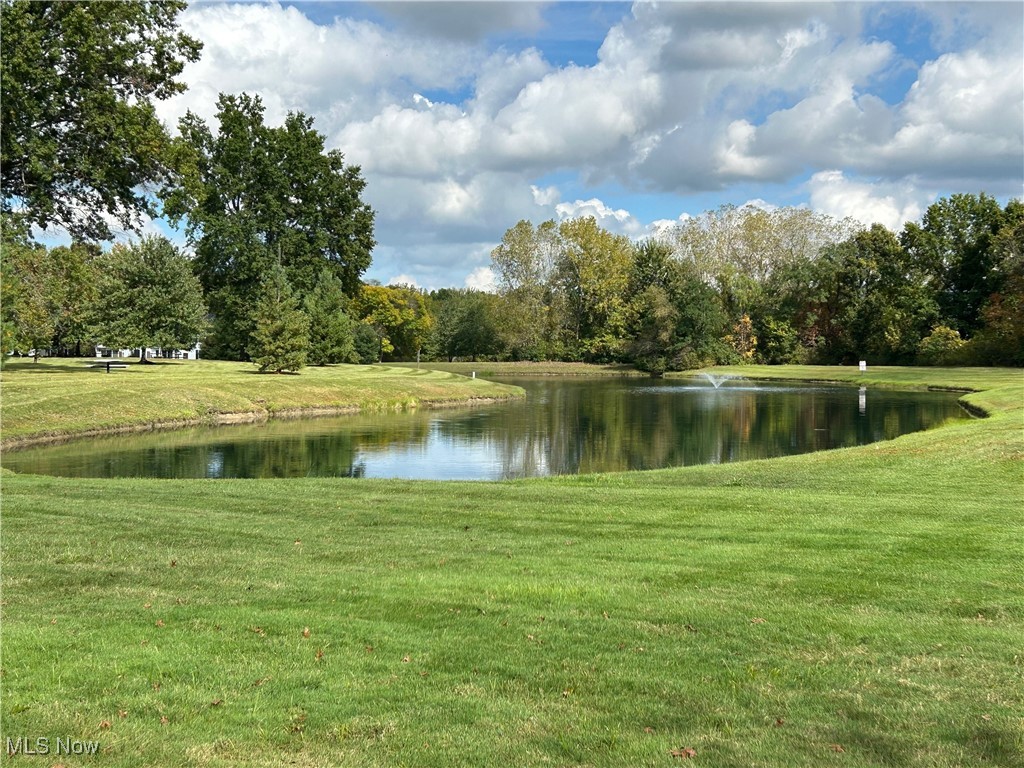 26183 Raintree Boulevard Olmsted Falls OH 44138