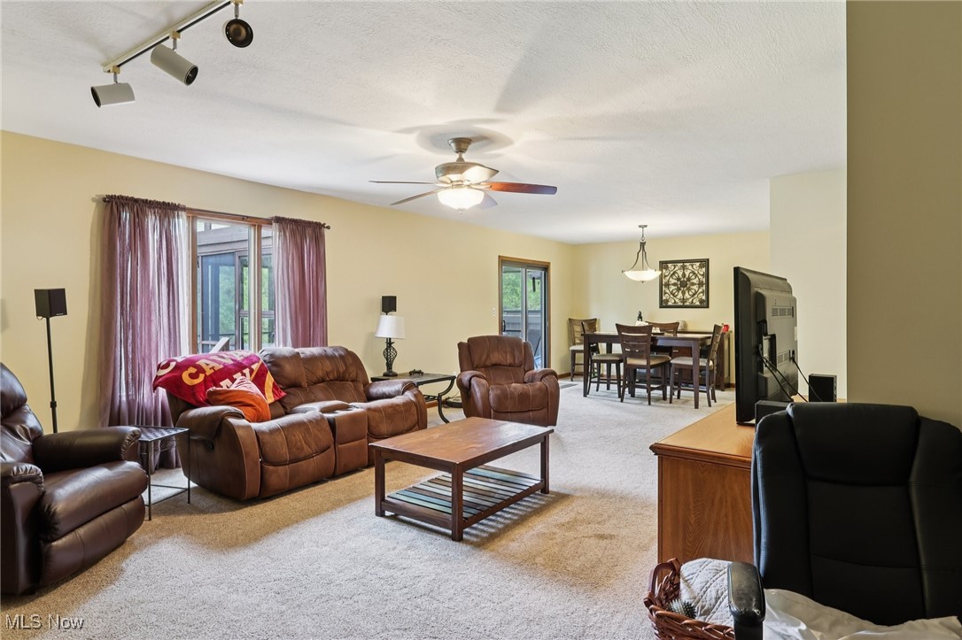 43 Picadilly Court Kent OH 44240