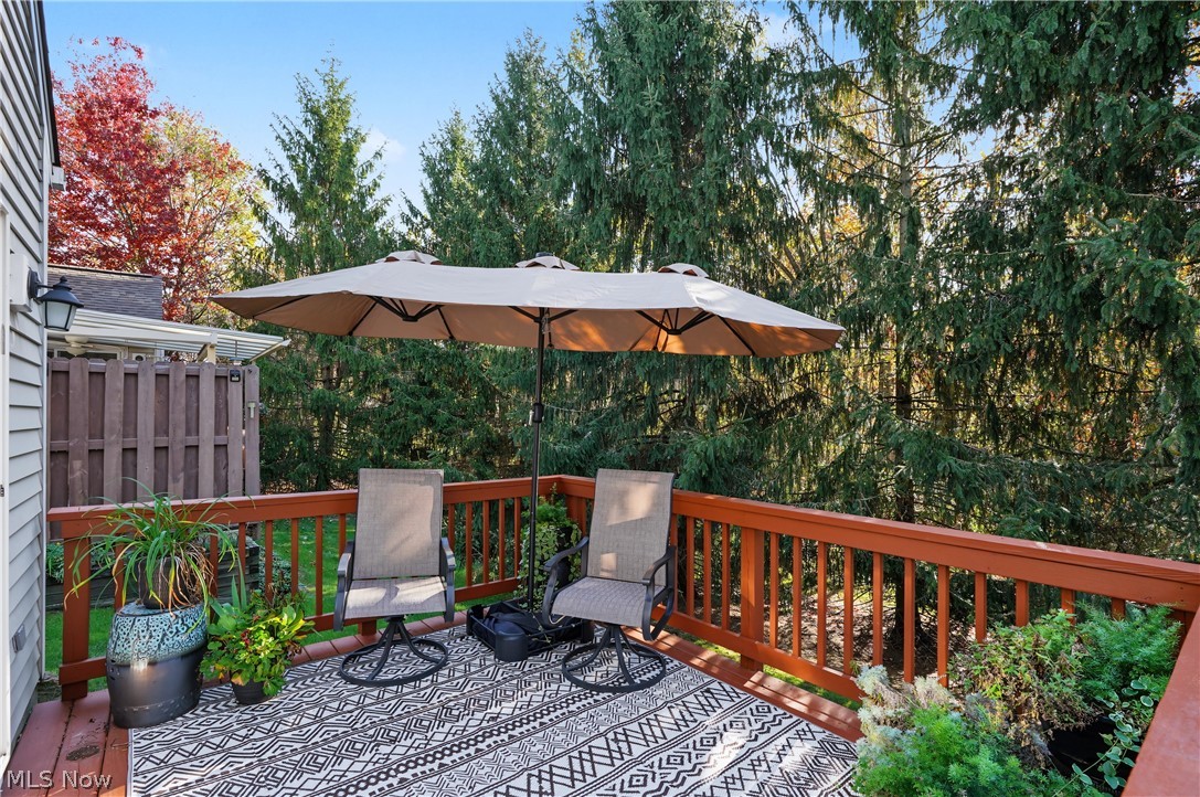 7561 Chandler Court Northfield OH 44067