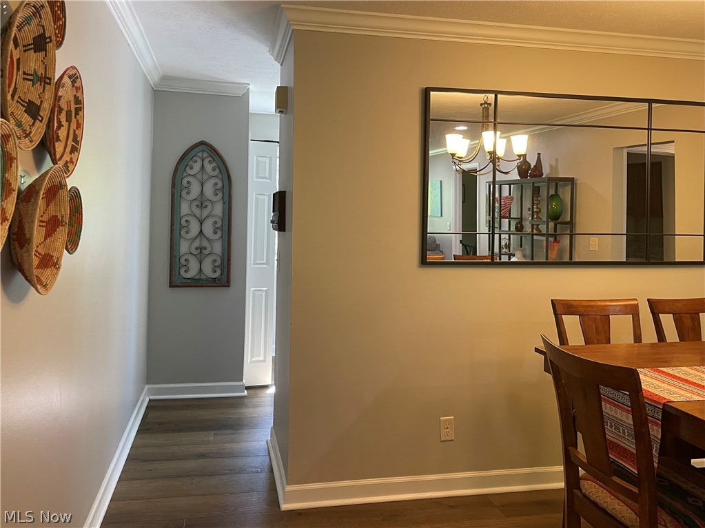 16575 Wren Road Chagrin Falls OH 44023