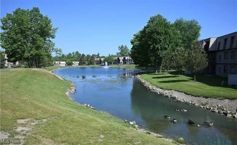 9640 Cove Drive North Royalton OH 44133