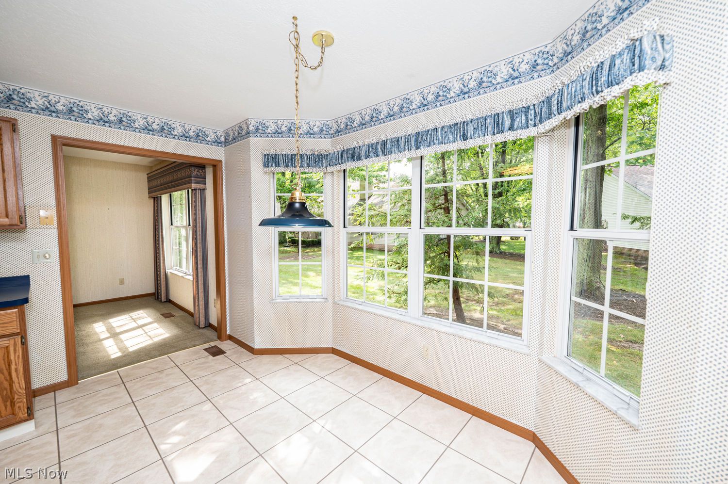 6167 Worthington Lane Mentor OH 44060