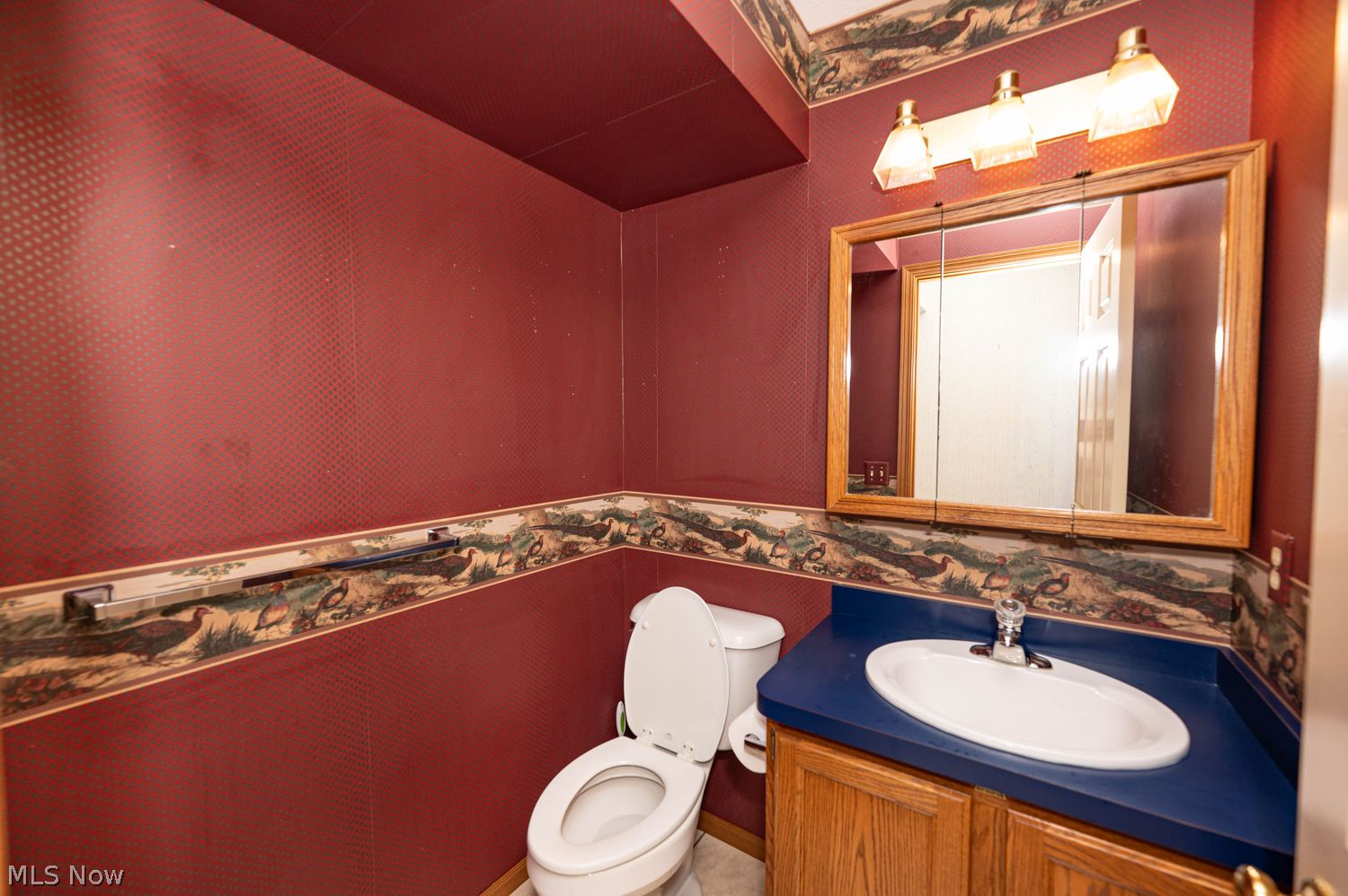 6167 Worthington Lane Mentor OH 44060