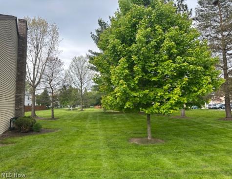 9632 E. Idlewood Drive Twinsburg OH 44087