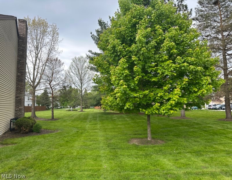 9632 E. Idlewood Drive Twinsburg OH 44087