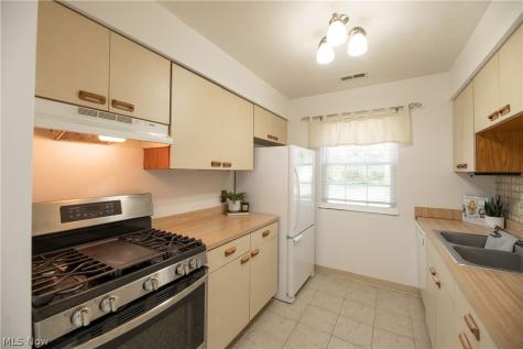 77 Firebush Lane Northfield OH 44067
