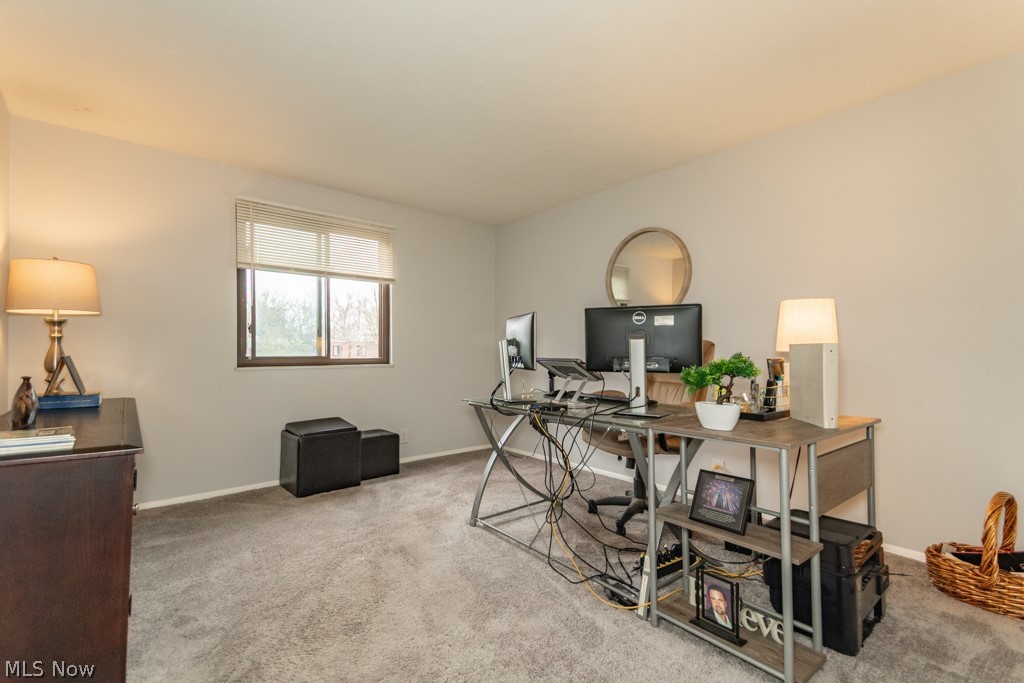 1651 Mentor Avenue Painesville OH 44077