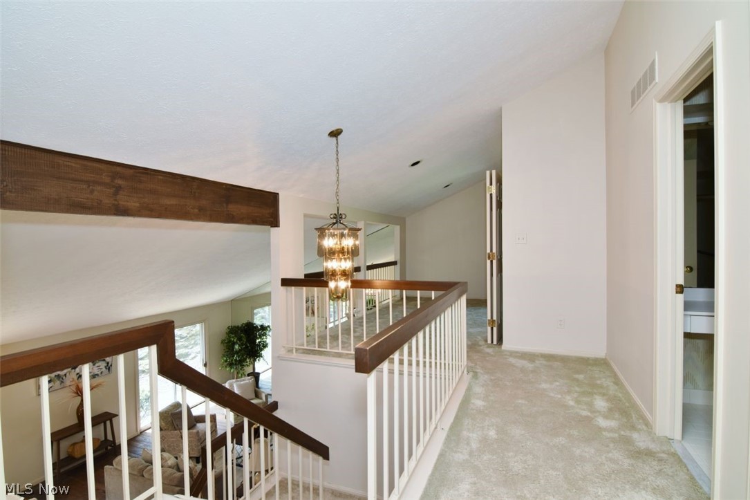 3835 Acorn Trail Orange OH 44022