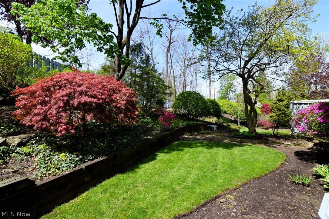 3835 Acorn Trail Orange OH 44022